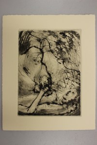 have_we_changed_proofs_0006