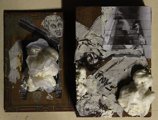 blooming_cigar_box_gif_01